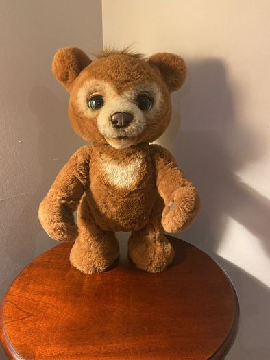 Teddy Bear Cubby the Curious bear