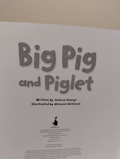 Big Pig And Piglet Story Book