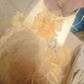 wedding Image 3