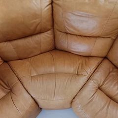 Leather suite