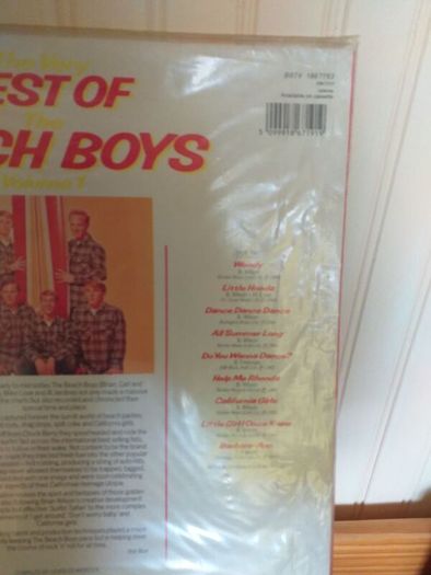 The Beach Boys.