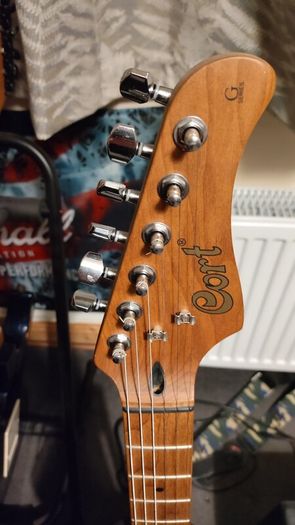 Cort 250SE