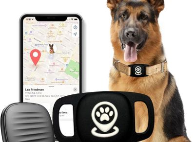Dog Tracker, Pet Tracker with Dog Collar Tracker Holder, Dog Tracker with No Monthly Fees for Location Tracking, Work with Find My Only iOS, No GPS