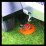 spyra twin shackle security anchors 500mm motorbike trailers caravan machinery Image 7