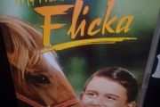 My Friend Flicka Dvd Roddy Mcdowell Classic Family Movie