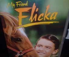 My Friend Flicka Dvd Roddy Mcdowell Classic Family Movie