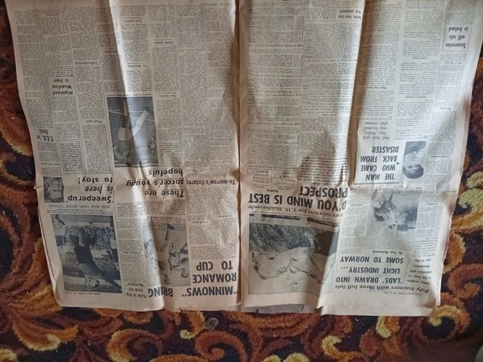 Vintage 1965 Evening Herald. Great for Framing (Showbands, Cinerama, classifieds, Ballyfermot)