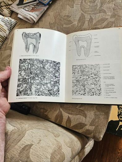 An Atlas Of Histology. By W.h. Freeman And Brian Bracegirdle. Second Edition Large Volume Hardback With Dustjacket.  Book In Good Condition.  Dustjacket Tatty.  See Photos For Same.