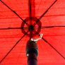 Parasols Image 7