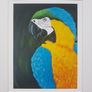 Prints of original artwork Image 6