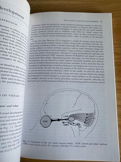 Visual Perception and Vision Science (Psychology Neuroscience Books)