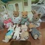 sylvanian Dr surgery and dolls. Image 5