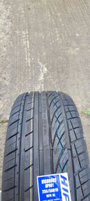255 50 r19