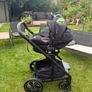 Buggy Image 2
