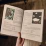 Academies of the Arcane TTRPG Book Image 4