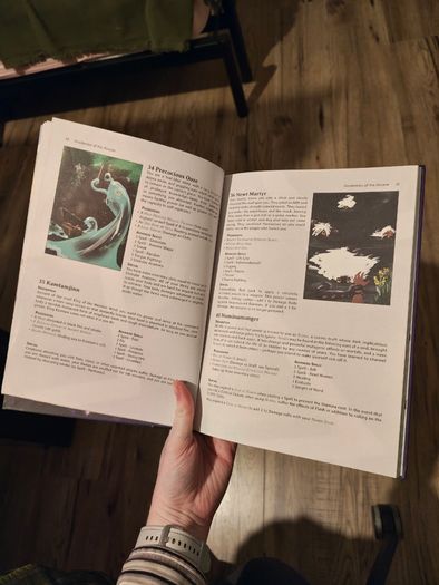 Academies of the Arcane TTRPG Book