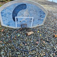 Basketball hoop and back board
