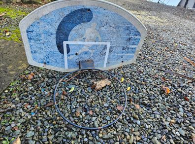 Basketball hoop and back board