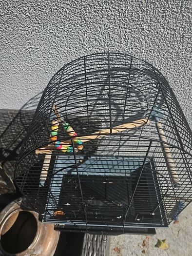 bird cage