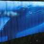 Finding Nemo - Whale Vinyl Banner Image 2
