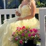 Debs Dress - Danis Closet Image 2