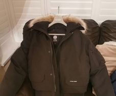 Canada goose bomber