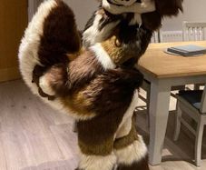 Brown Fox Fursuit