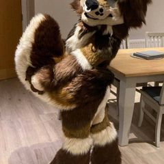 Brown Fox Fursuit