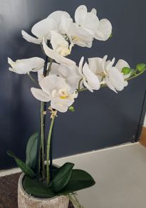Artifical plant Orchid