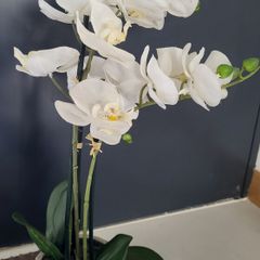 Artifical plant Orchid