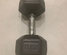 Dumbbell Rubber Hex 17.5kg Single
