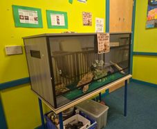 Reptile Tank
