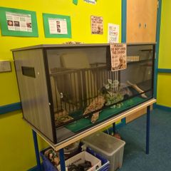 Reptile Tank