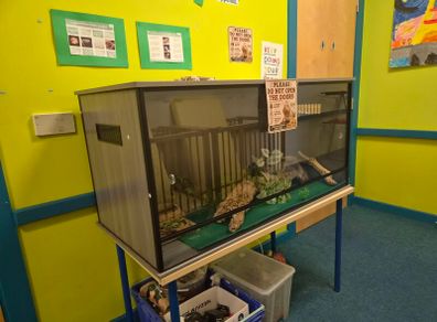 Reptile Tank