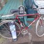 Hedge Trimmer 185 Euros And Racing Bicycle 145 Eur Image 2
