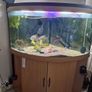 Juwel 350l corner setup Image 2