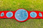 Wwe Belt