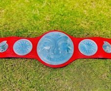 Wwe Belt