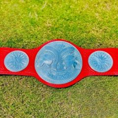 Wwe Belt