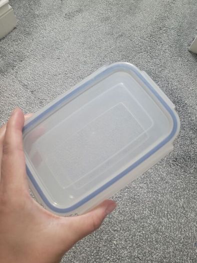 lunch boxes