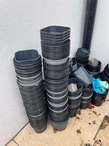 free plant pots