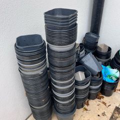 free plant pots