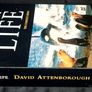 David Attenborough: Trials Of Life - The Complete Series DVD (2005) Image 3