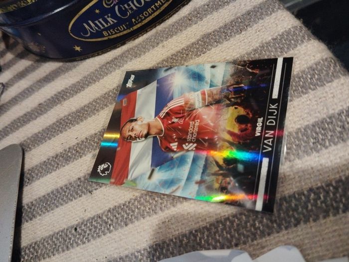 Virgil van dijk