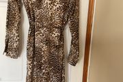 Ladies dress