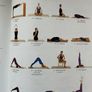 yoga Mira Mehta Image 4