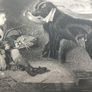 Landseer Dog Fetching Boat for Child Image 10