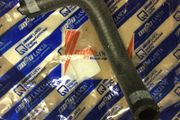 Water Hose (Fiat Doblo)