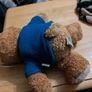 Singapore airlines bear Image 6