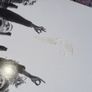 Die Haut And Nick Cave - Burnin' The Ice (LP, Album, RE, RM, Gat) Image 3